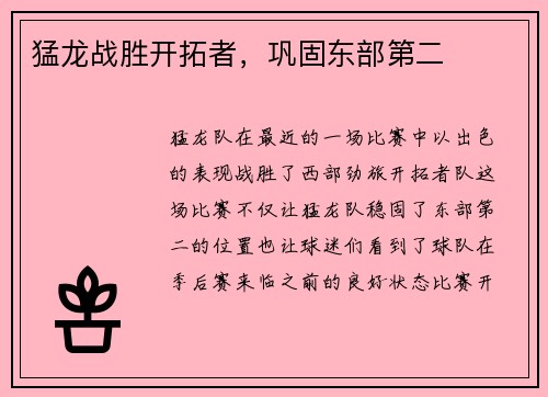 猛龙战胜开拓者，巩固东部第二